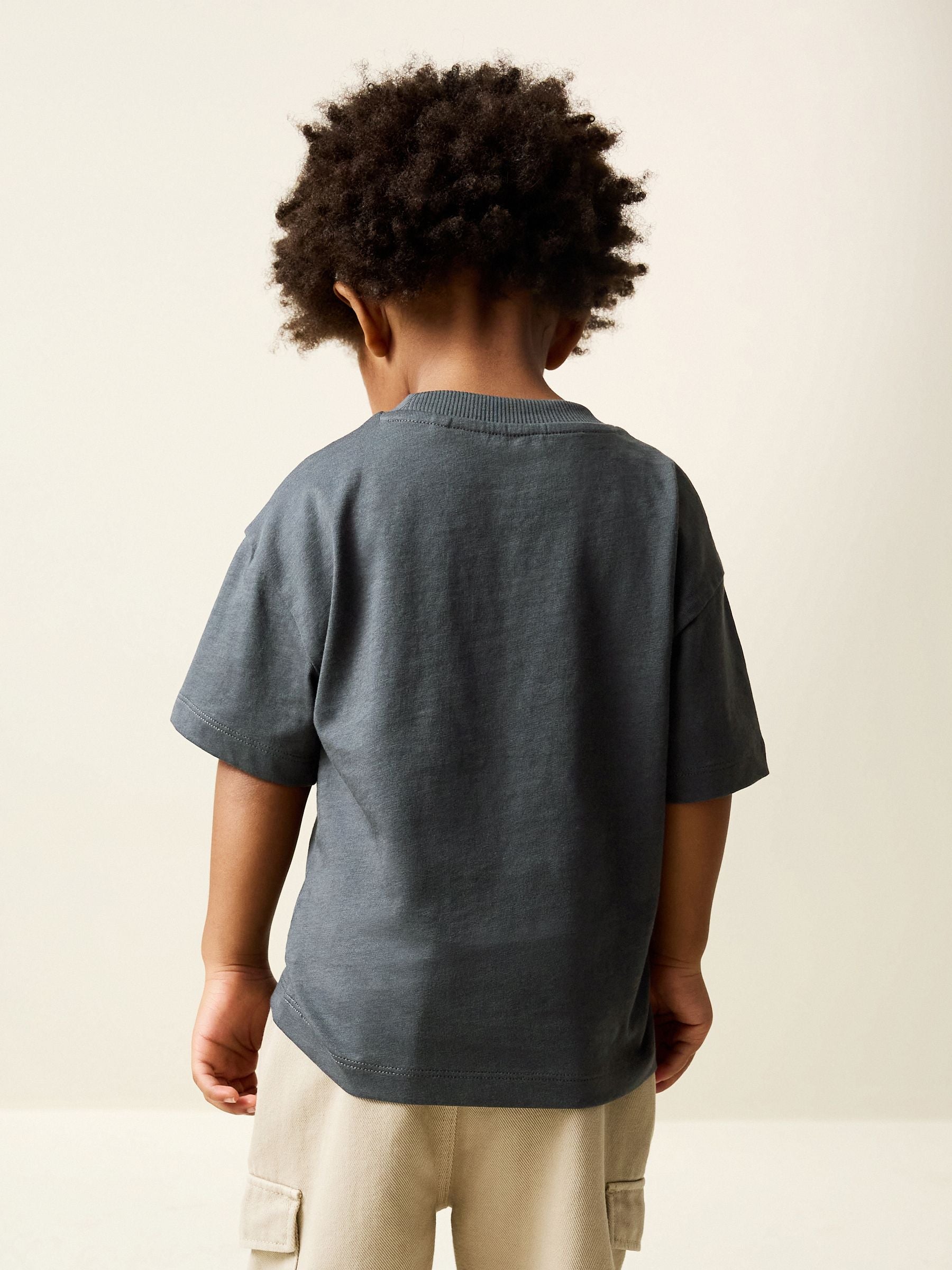 Charcoal Grey Cool Slogan Short Sleeve Small Graphic T-Shirt (3mths-8yrs) image 3