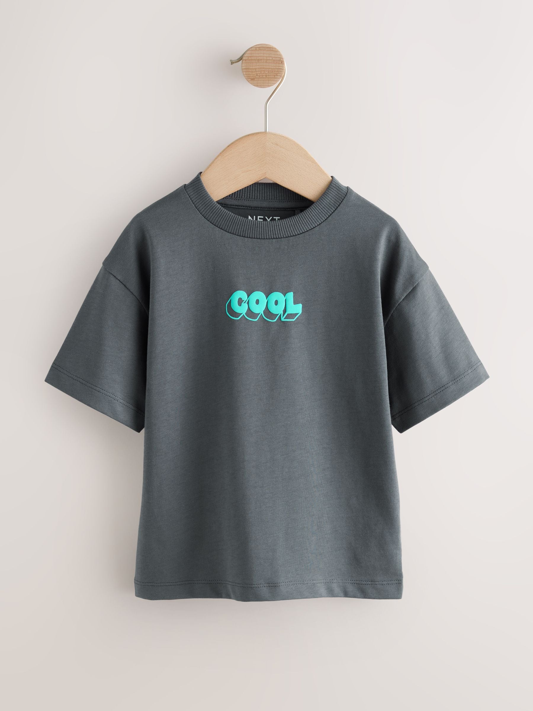 Charcoal Grey Cool Slogan Short Sleeve Small Graphic T-Shirt (3mths-8yrs) image 5