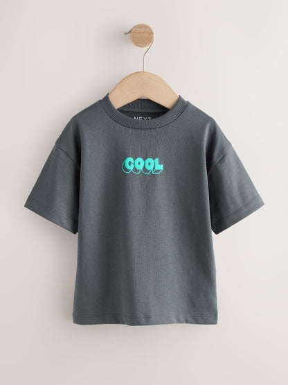 Charcoal Grey Cool Slogan Short Sleeve Small Graphic T-Shirt (3mths-8yrs) image 5