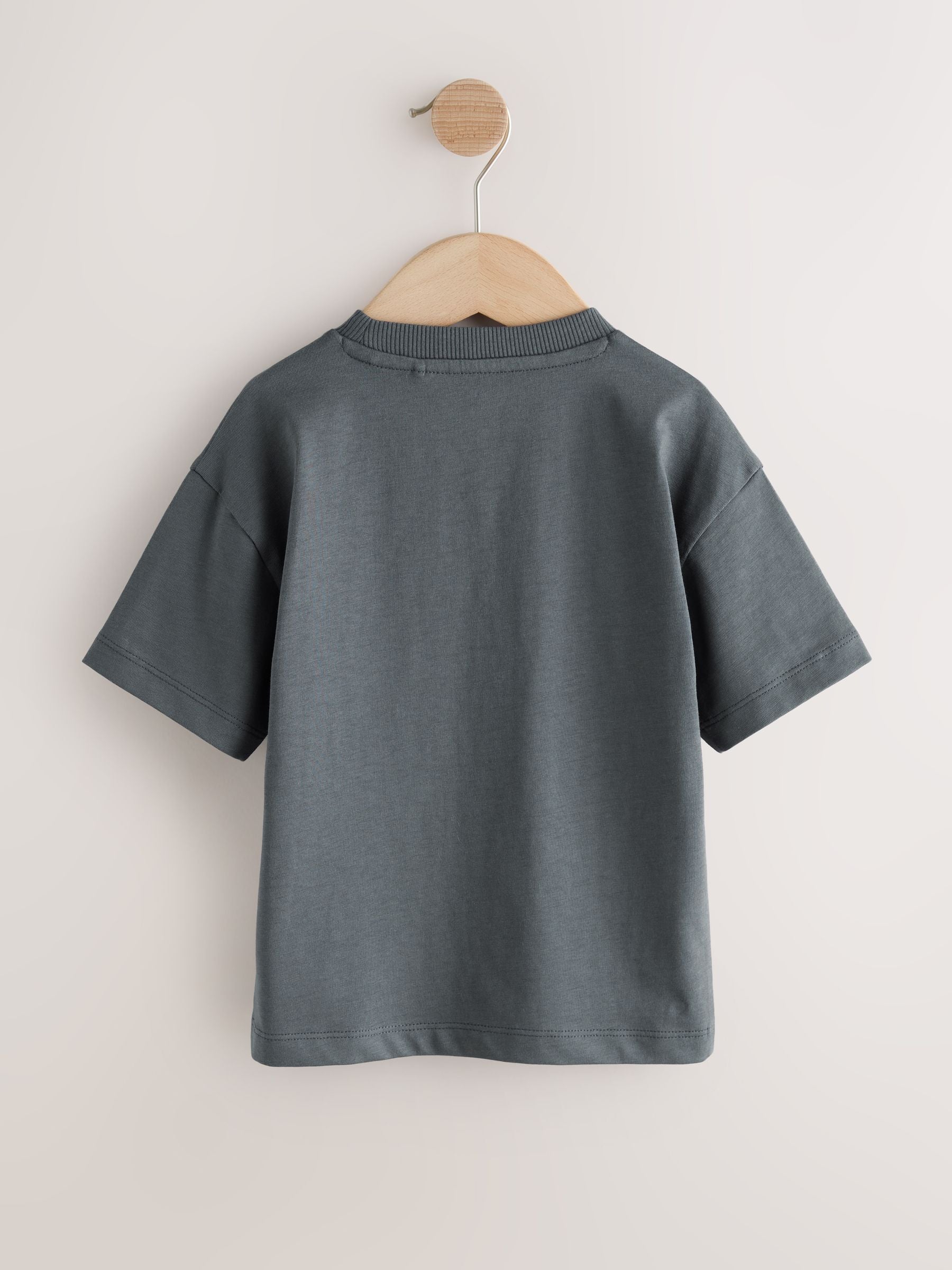 Charcoal Grey Cool Slogan Short Sleeve Small Graphic T-Shirt (3mths-8yrs) image 6