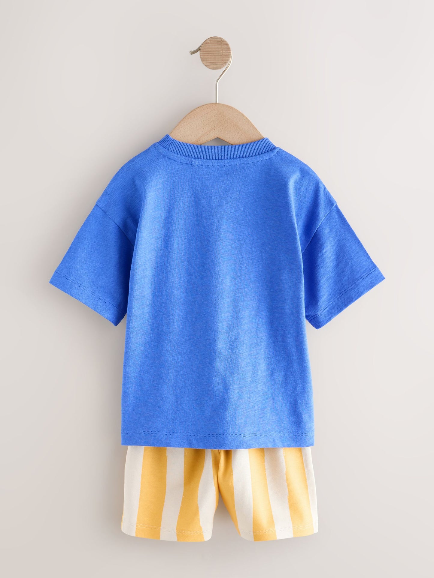 Blue Dinosaur Short Sleeve T-Shirt and Shorts Set (3mths-7yrs) image 3