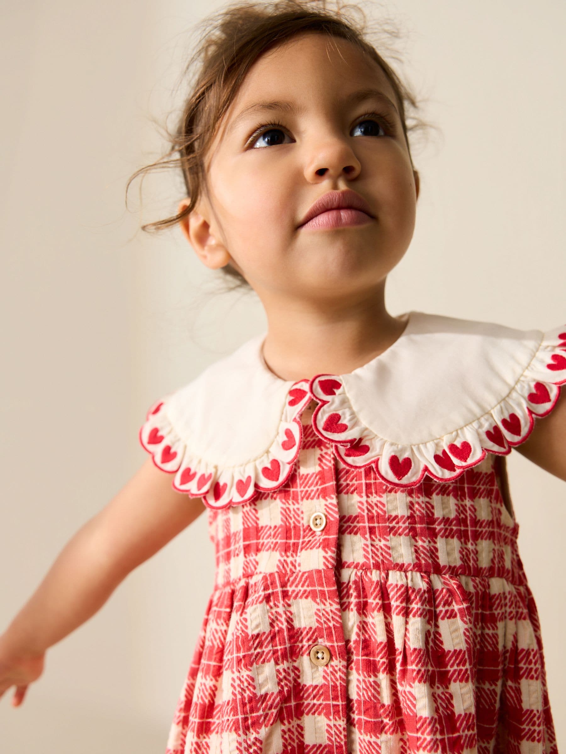 Red Check Collared Summer Dress (3mths-7yrs) image 4