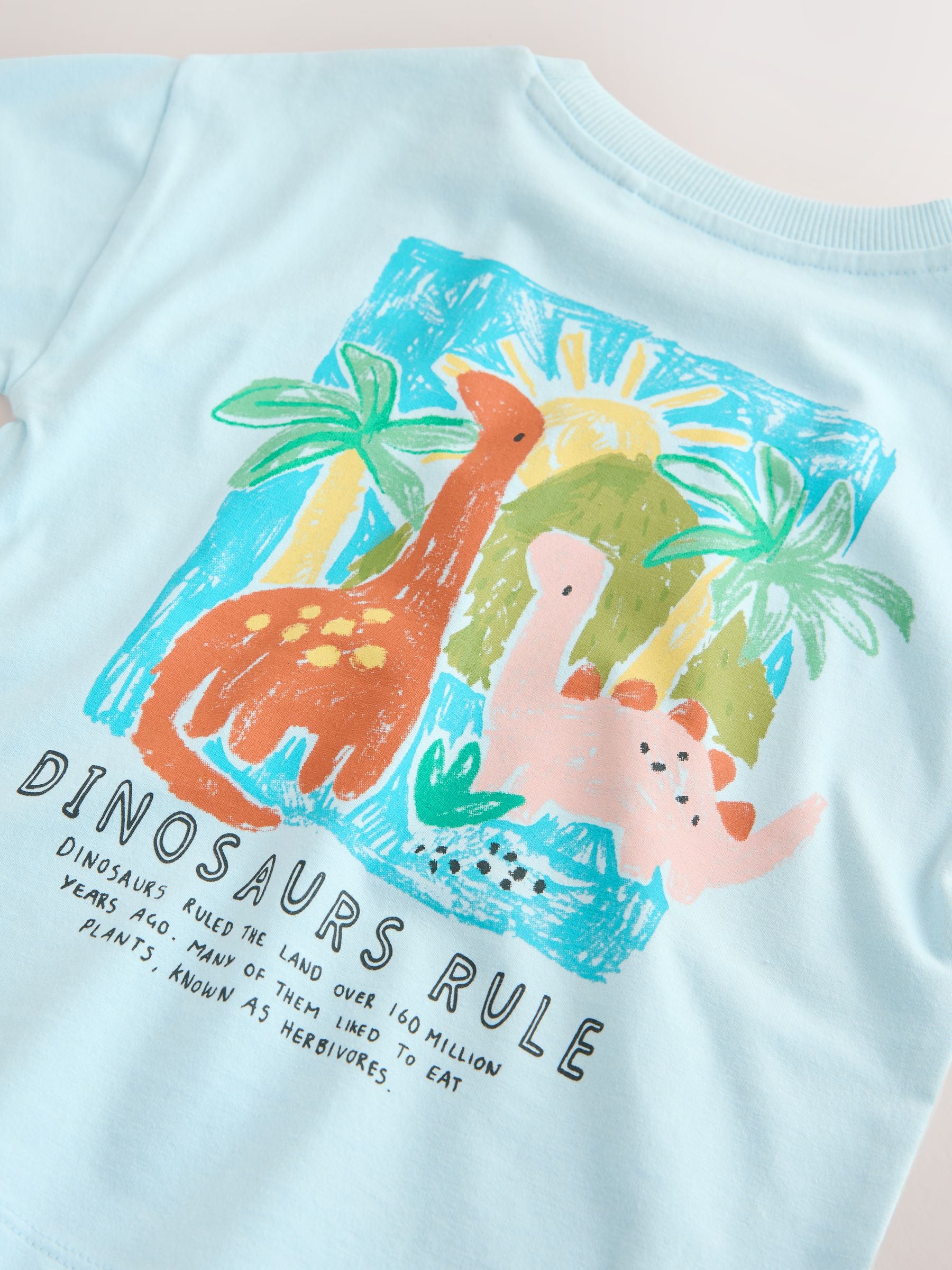 Blue Dinosaur Short Sleeve Back Print T-Shirt (3mths-7yrs) image 4