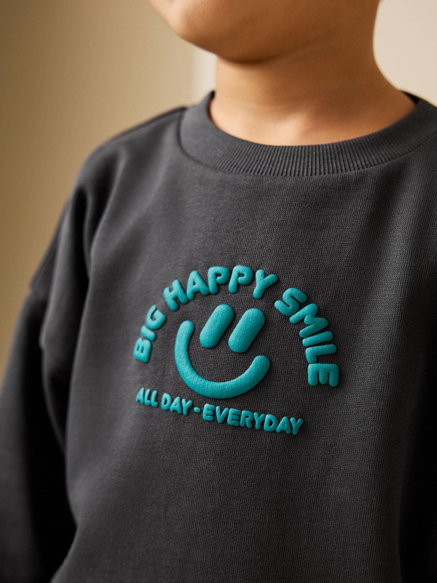 Dsiney Kidz - Dark Grey Printed Crew Neck Sweat Top (3mths-7yrs) image 4