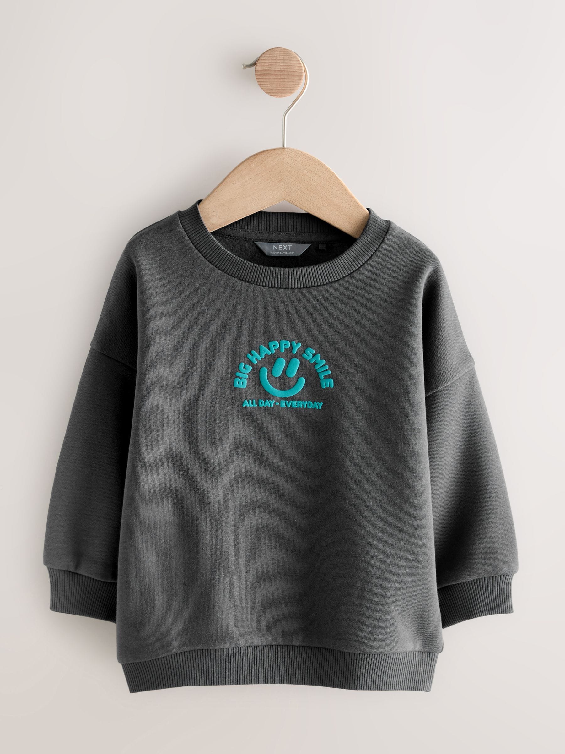 Dsiney Kidz - Dark Grey Printed Crew Neck Sweat Top (3mths-7yrs) image 5