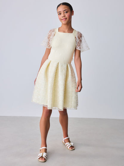 Baker by Ted Baker Mesh Overlay Angel Sleeve Scuba Dress image 4