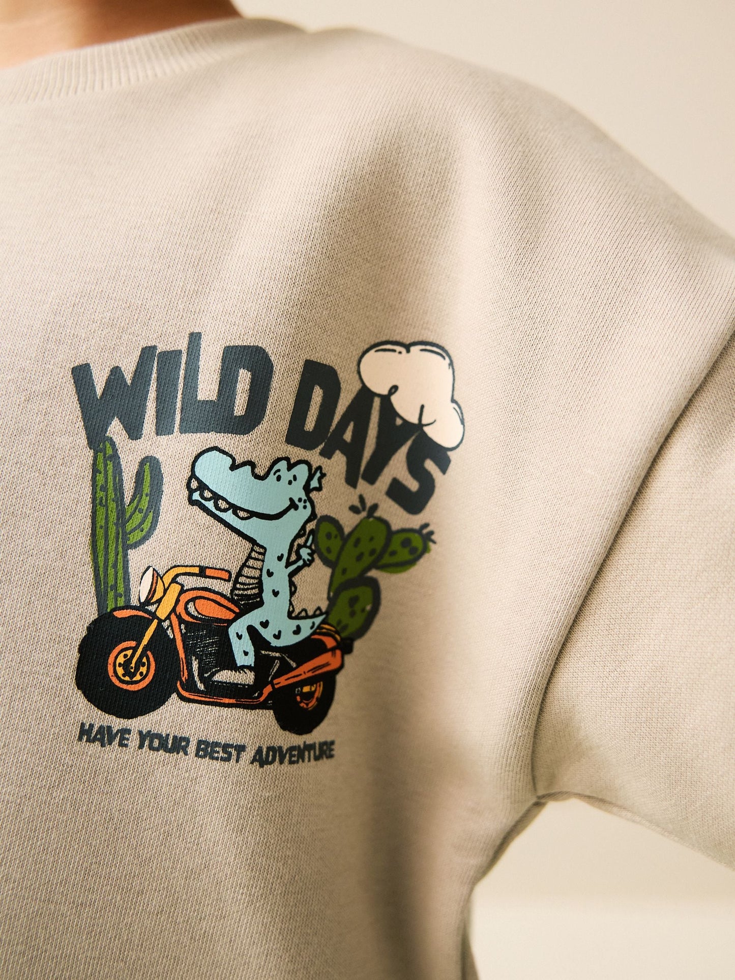 Ecru Wild Days Crew Neck Sweatshirt and Shorts Set (3mths-7yrs) (3mths-7yrs) image 4