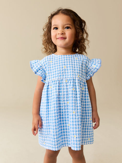 Blue Gingham Ric Rac Frill Sleeve Dress (3mths-8yrs) image 1