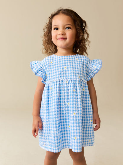 Blue Gingham Ric Rac Frill Sleeve Dress (3mths-8yrs) image 1