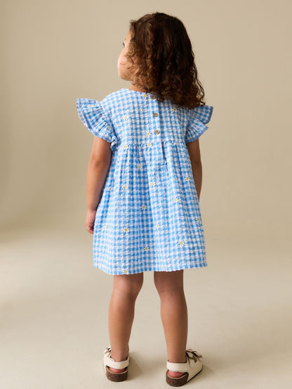 Blue Gingham Ric Rac Frill Sleeve Dress (3mths-8yrs) image 3