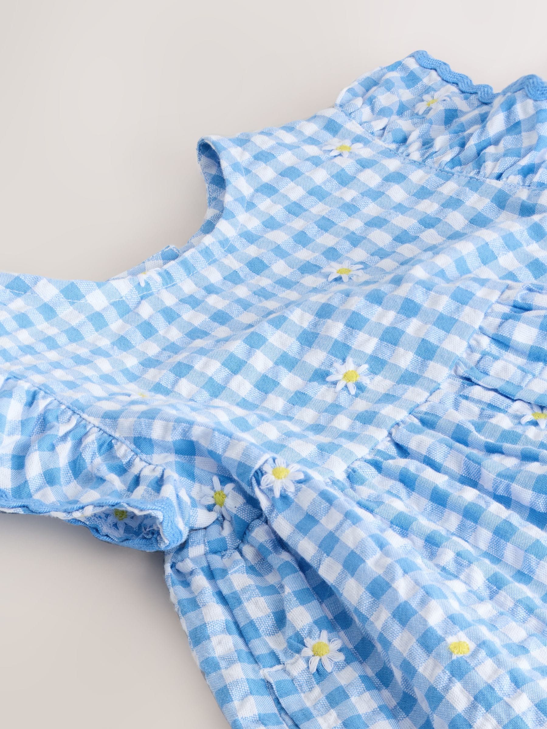 Blue Gingham Ric Rac Frill Sleeve Dress (3mths-8yrs) image 7