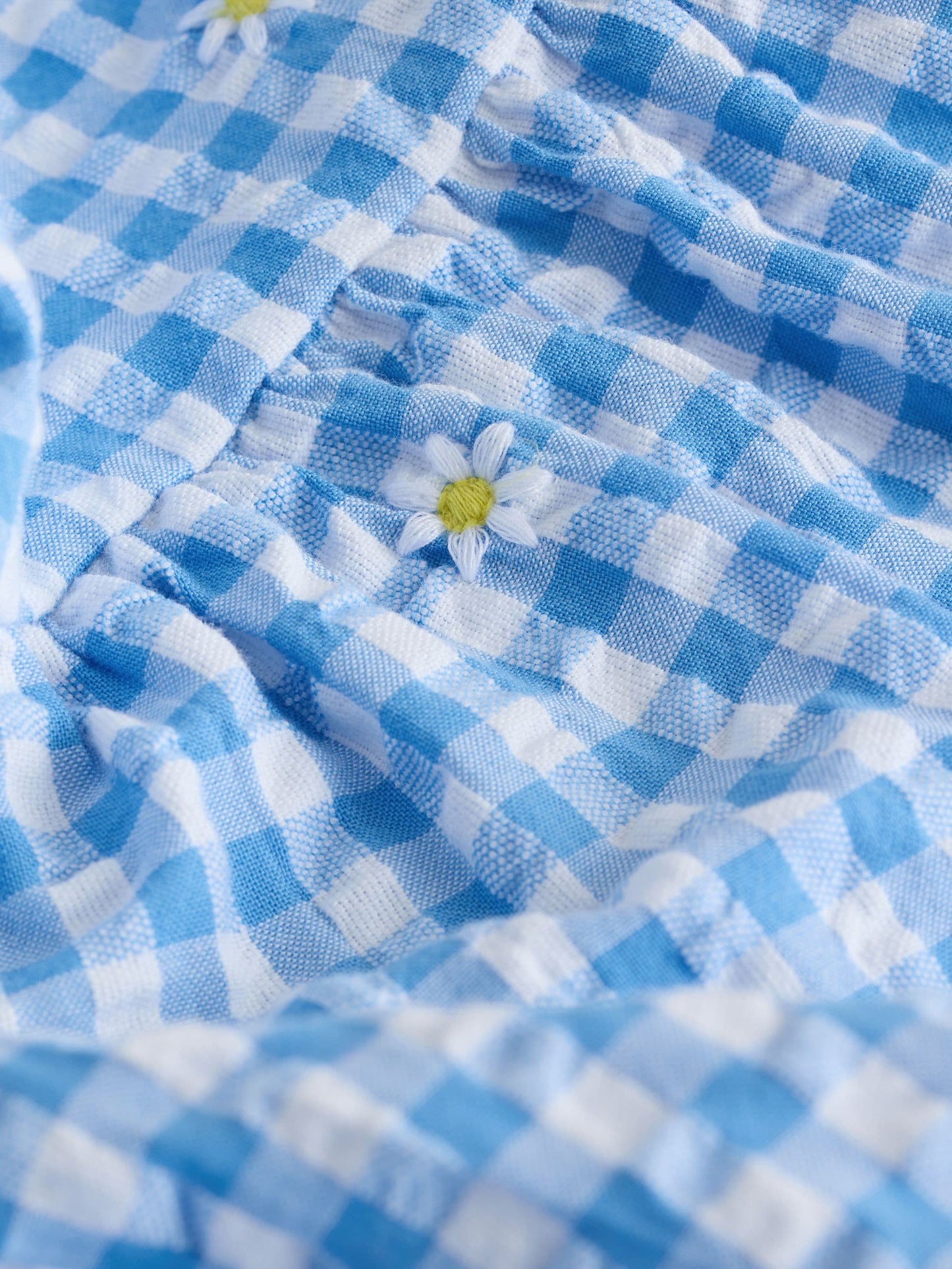 Blue Gingham Ric Rac Frill Sleeve Dress (3mths-8yrs) image 8