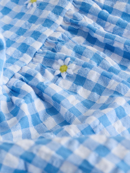 Blue Gingham Ric Rac Frill Sleeve Dress (3mths-8yrs) image 8