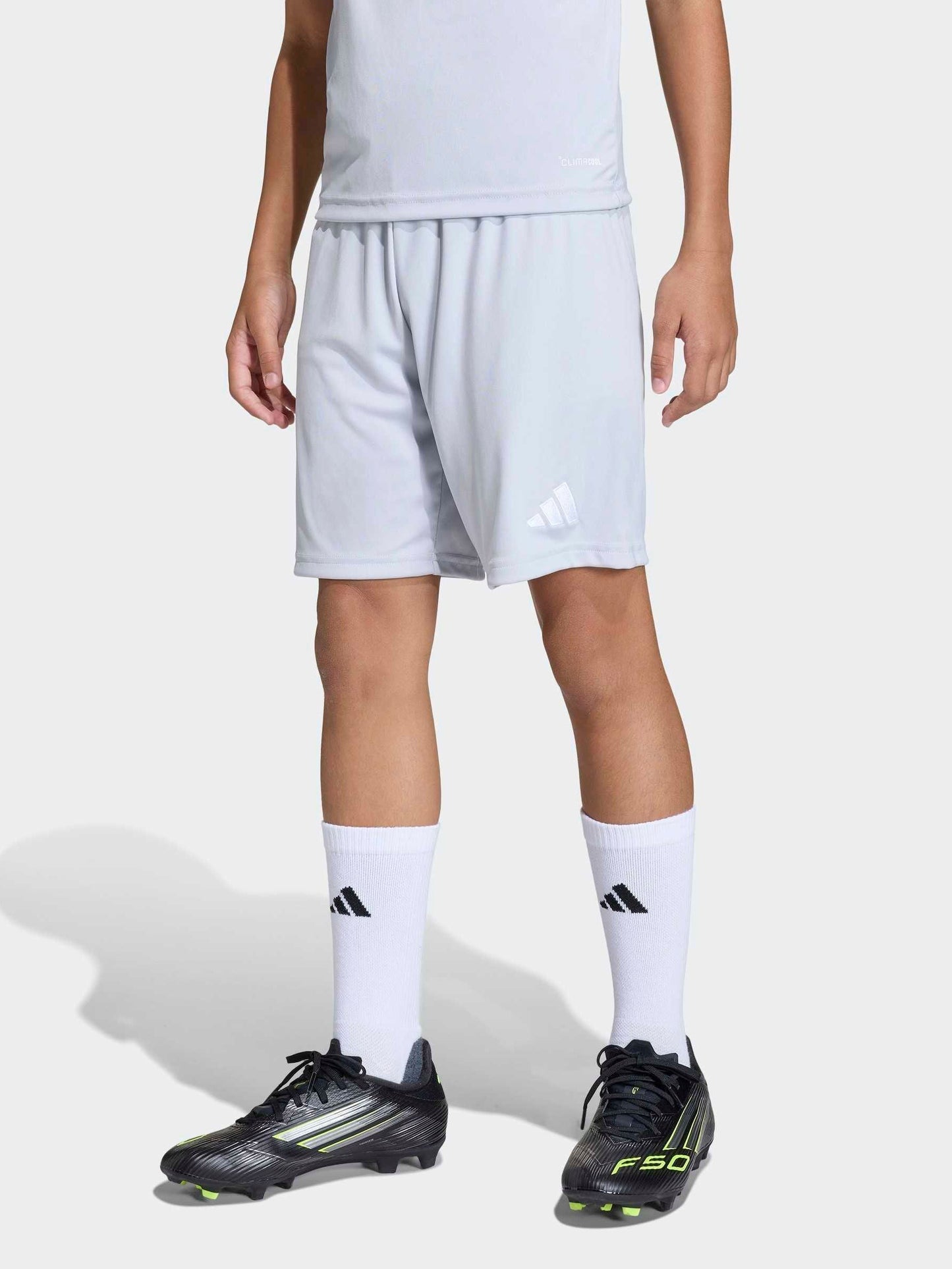 Dsiney Kidz - adidas Grey Entrada 26 Training Shorts image 1