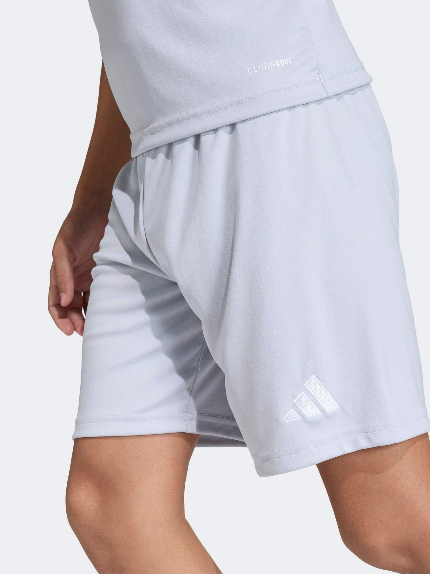 Dsiney Kidz - adidas Grey Entrada 26 Training Shorts image 5
