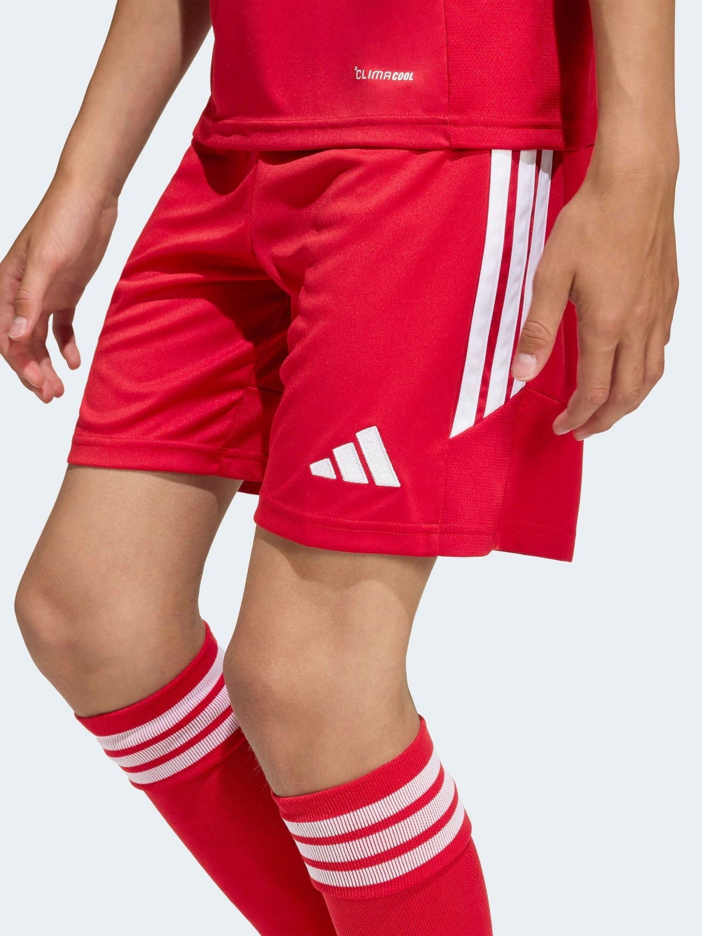 Dsiney Kidz - adidas Red Tiro 26 League Training Shorts image 1