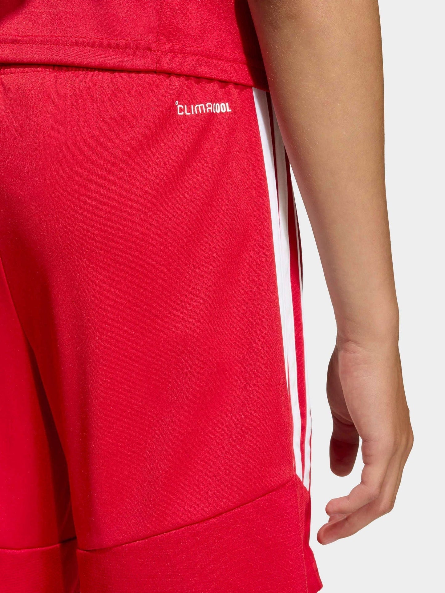 Dsiney Kidz - adidas Red Tiro 26 League Training Shorts image 5
