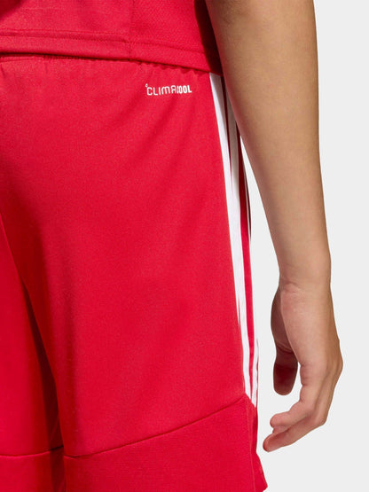 Dsiney Kidz - adidas Red Tiro 26 League Training Shorts image 5