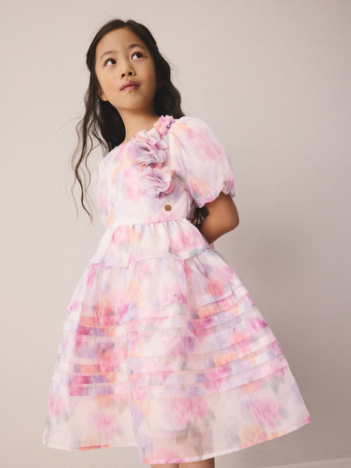 Dsiney Kidz - Laura Ashley Pink Garden Roses Blurred Corsage Organza Pintuck Dress image 1