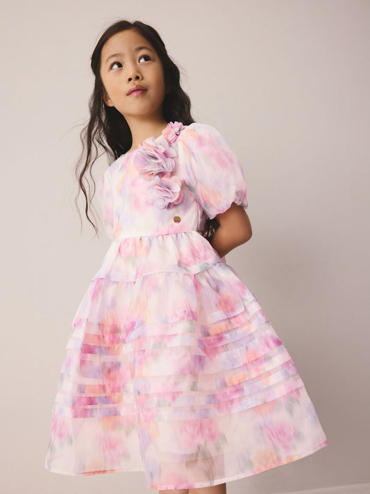 Laura Ashley Pink Garden Roses Blurred Corsage Organza Pintuck Dress image 1