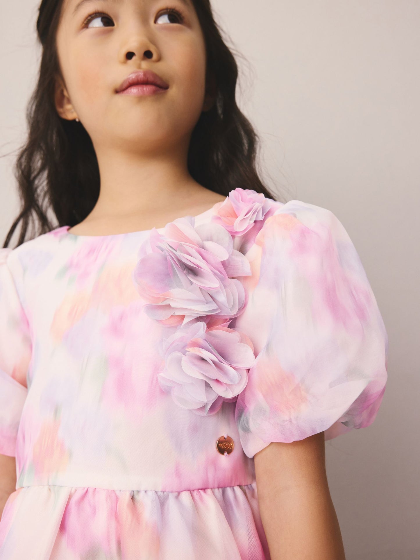 Laura Ashley Pink Garden Roses Blurred Corsage Organza Pintuck Dress image 5