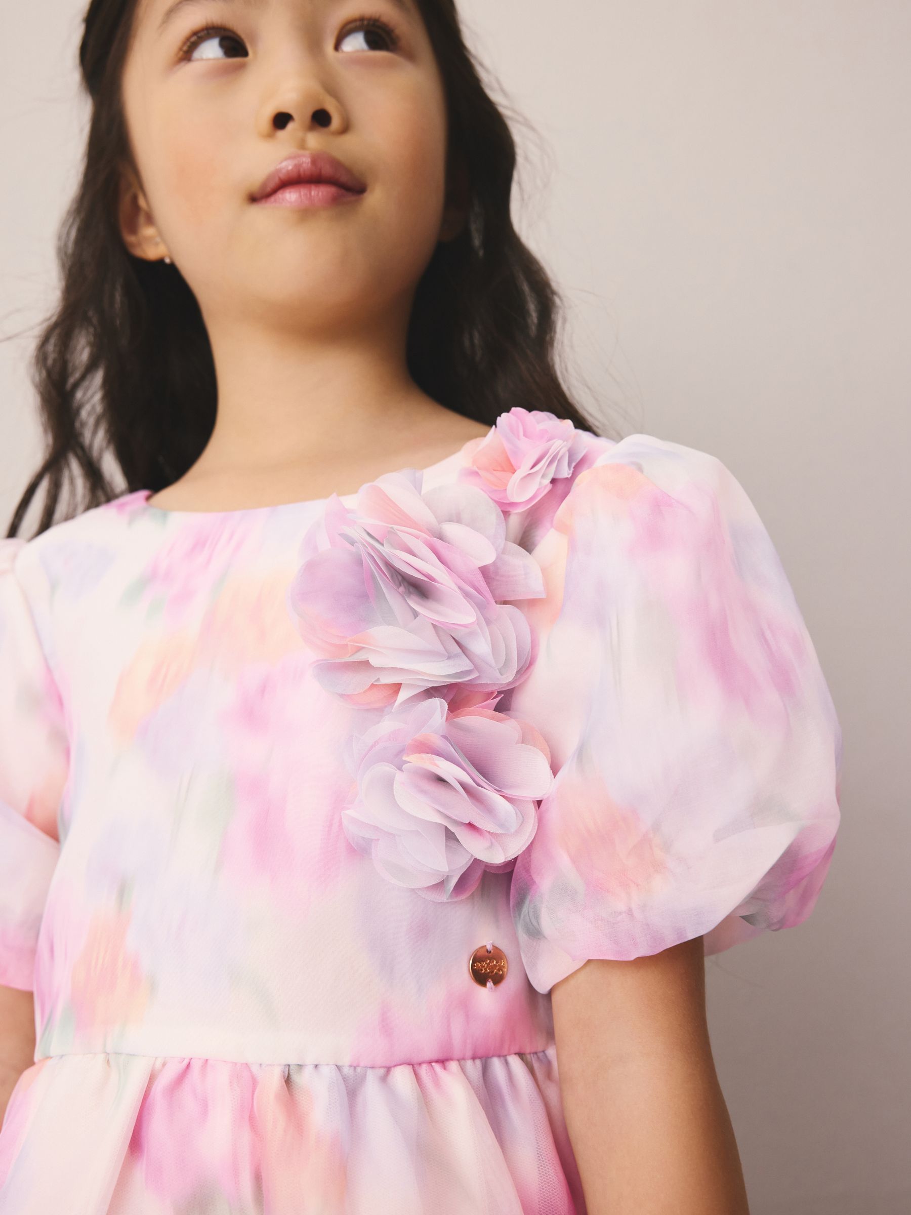 Laura Ashley Pink Garden Roses Blurred Corsage Organza Pintuck Dress image 5