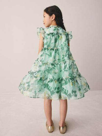 Laura Ashley Green Elowen Peony Frill Tiered Organza Dress image 3