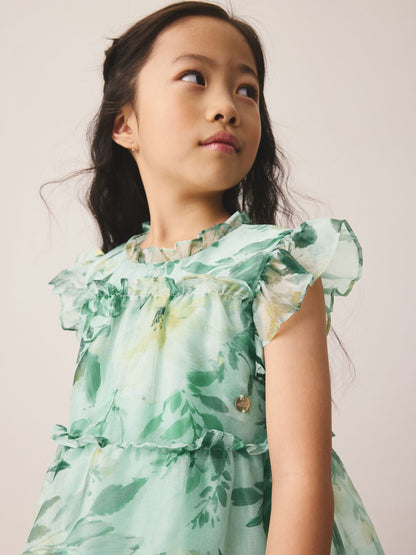 Laura Ashley Green Elowen Peony Frill Tiered Organza Dress image 4