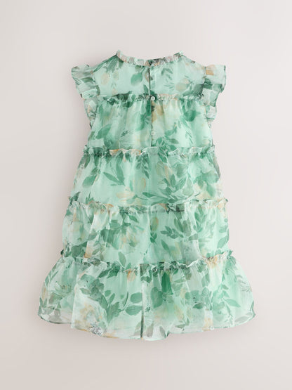 Laura Ashley Green Elowen Peony Frill Tiered Organza Dress image 7