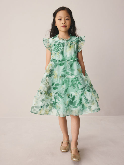 Dsiney Kidz - Laura Ashley Green Elowen Peony Frill Tiered Organza Dress image 1