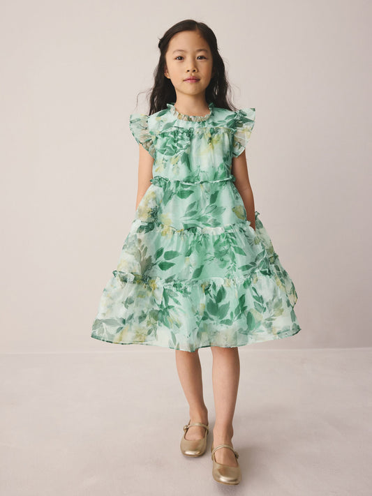 Dsiney Kidz - Laura Ashley Green Elowen Peony Frill Tiered Organza Dress image 1