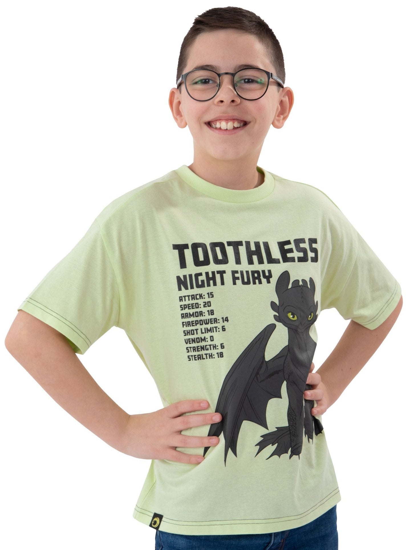 How to Train Your Dragon Green How To Train Your Dragon Night Fury T-Shirt image 6