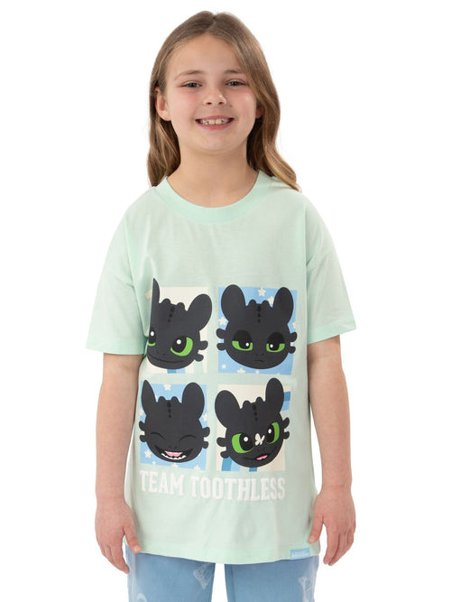 Character Green How To Train Your Dragon Toothless T-Shirt image 1