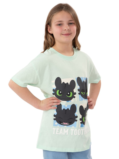 Character Green How To Train Your Dragon Toothless T-Shirt image 4