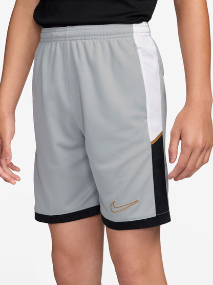 Dsiney Kidz - Nike Smoke Grey Academy Shorts image 3