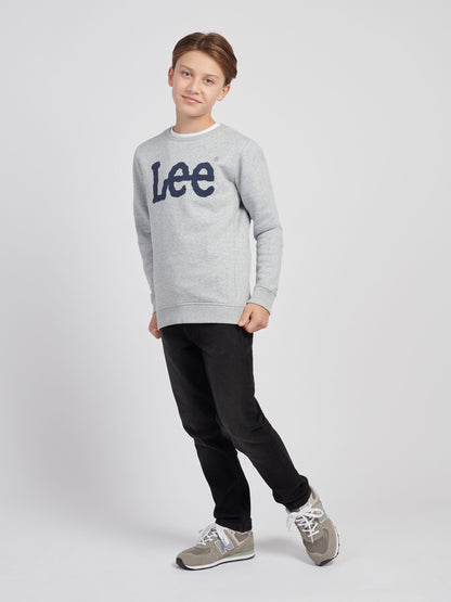 Dsiney Kidz - Lee Grey Lee Boys Wobbly Graphic Crew image 4