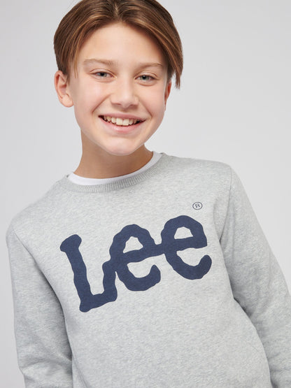 Dsiney Kidz - Lee Grey Lee Boys Wobbly Graphic Crew image 5