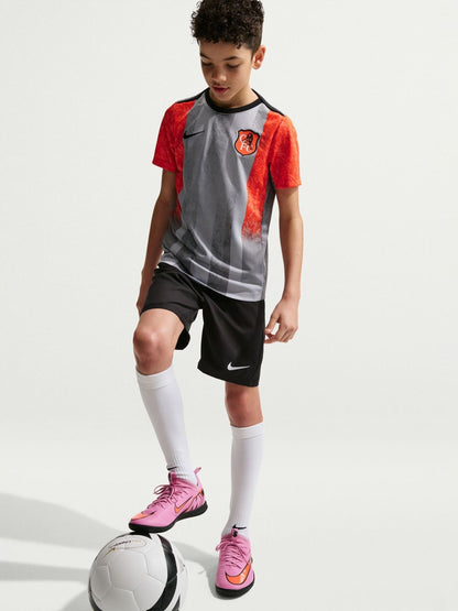 Dsiney Kidz - Nike Grey Chelsea FC 2025/26 Pre Match Football Shirt image 3