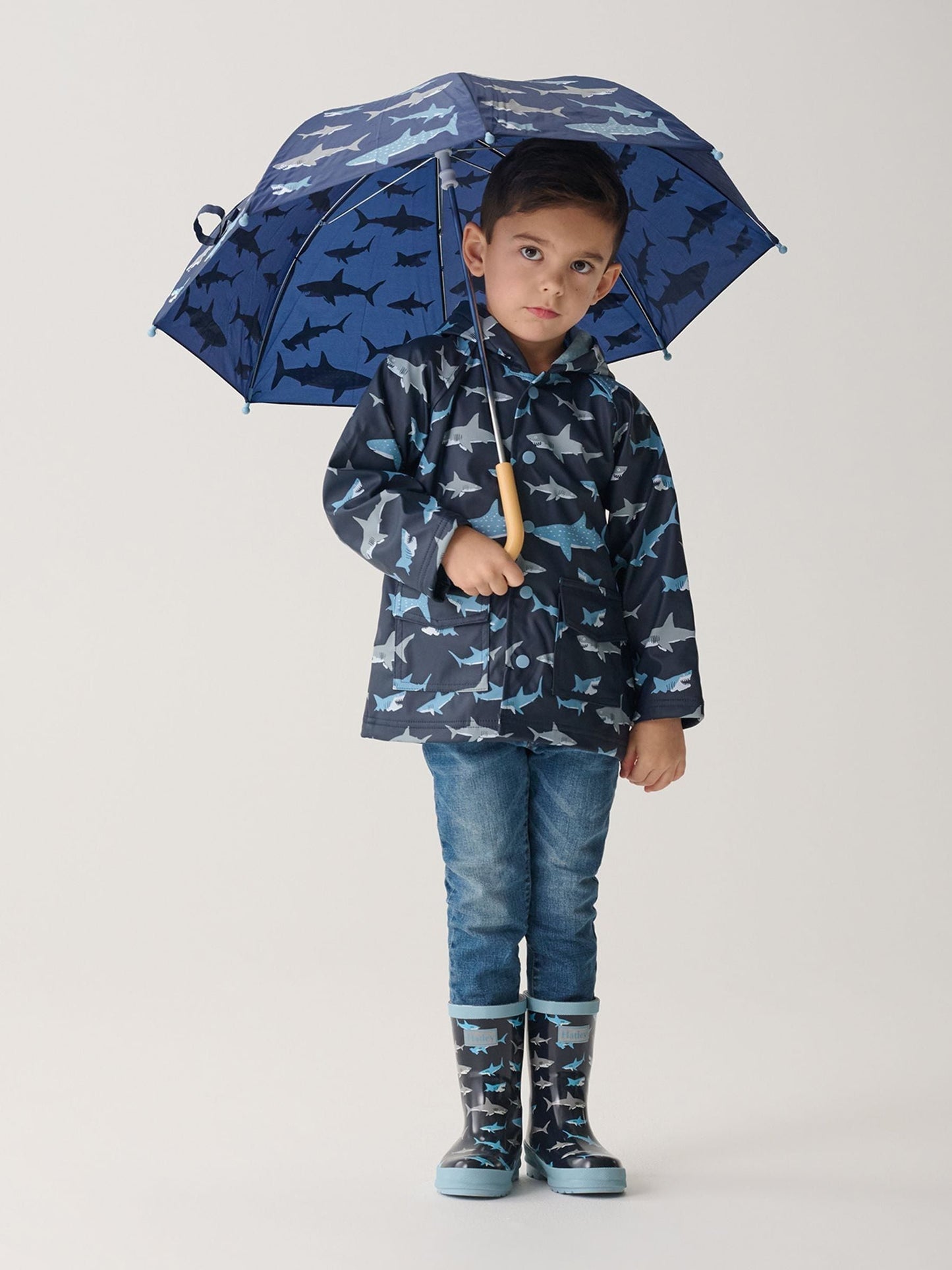 Dsiney Kidz - Hatley Blue Shark Frenzy Raincoat image 1
