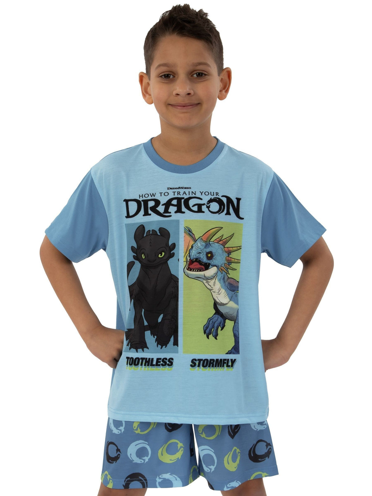 Character Blue How To Train Your Dragon Toohtless And Storm Fly Print Short Pyjamas - image 10