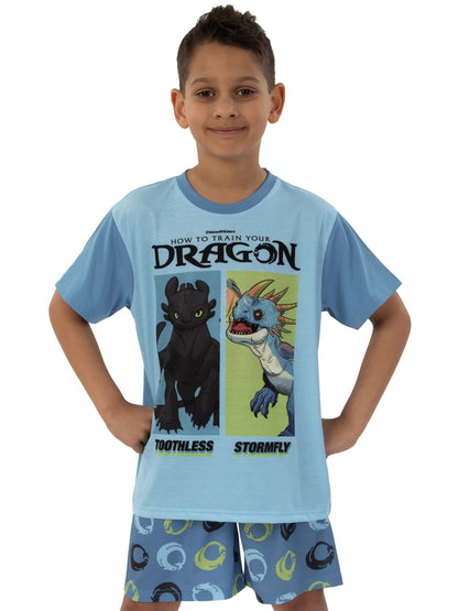 Character Blue How To Train Your Dragon Toohtless And Storm Fly Print Short Pyjamas - image 10