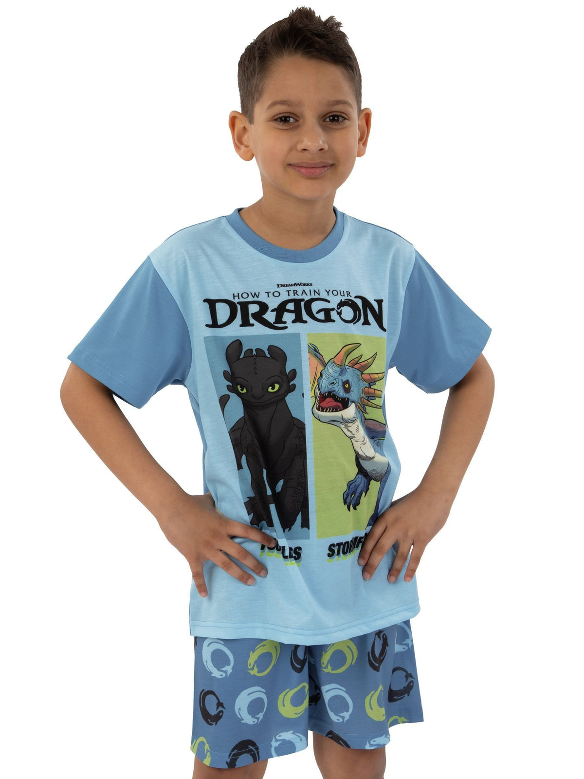 Character Blue How To Train Your Dragon Toohtless And Storm Fly Print Short Pyjamas - image 12