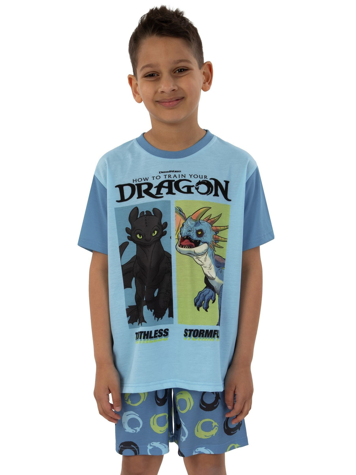 Character Blue How To Train Your Dragon Toohtless And Storm Fly Print Short Pyjamas - image 7