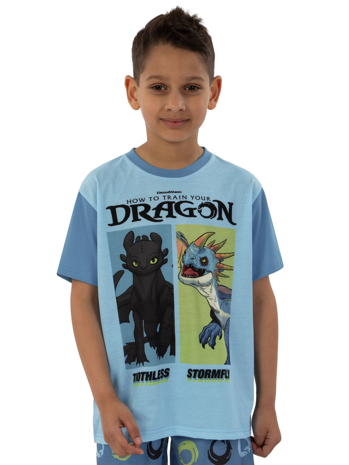 Character Blue How To Train Your Dragon Toohtless And Storm Fly Print Short Pyjamas - image 8