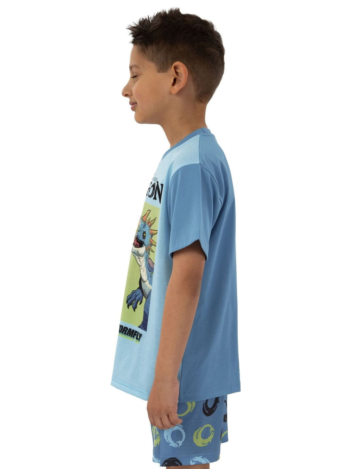 Character Blue How To Train Your Dragon Toohtless And Storm Fly Print Short Pyjamas - image 9