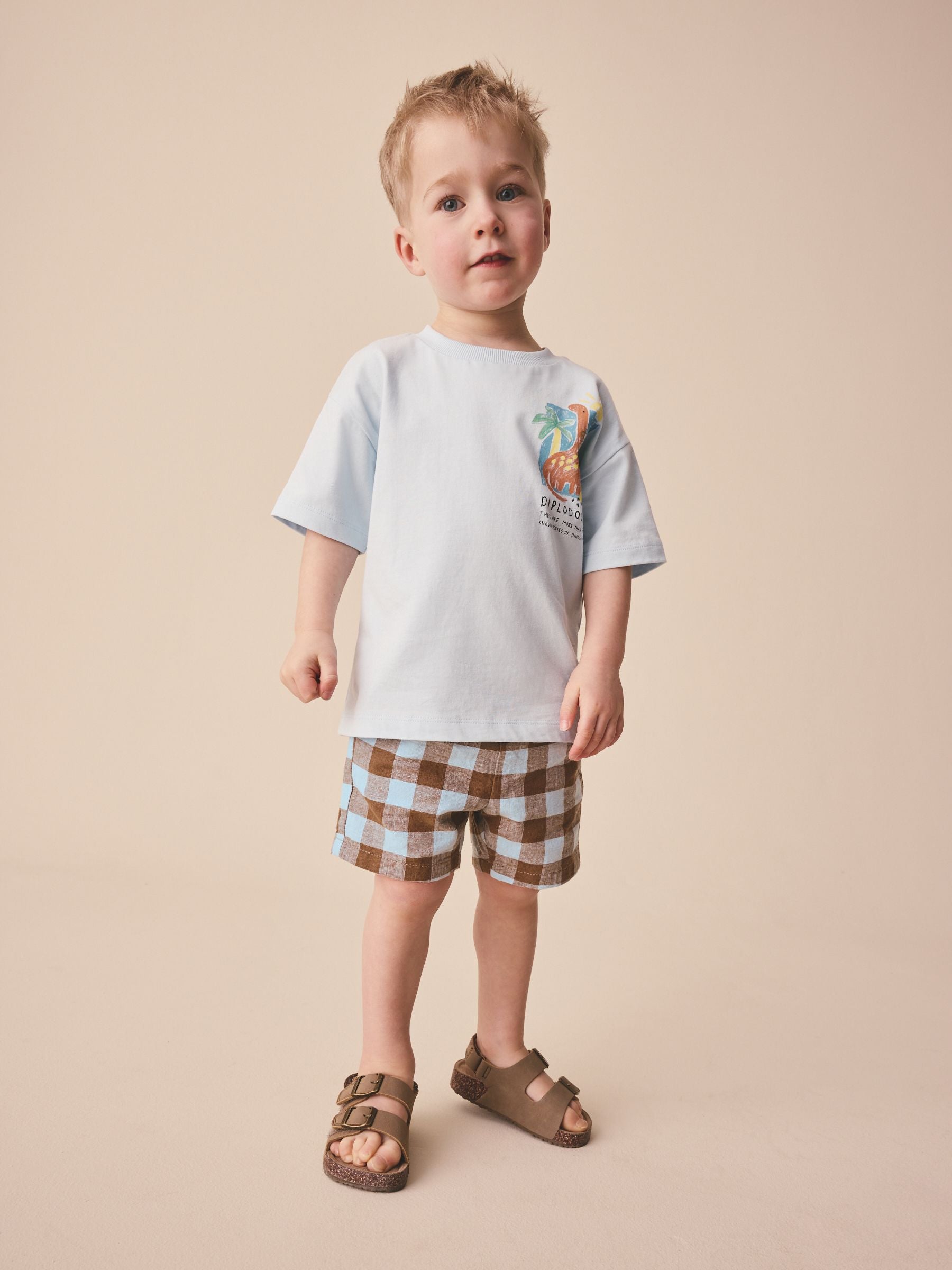 Blue/Brown Gingham Linen Blend Pull On Shorts (3mths-7yrs) image 2