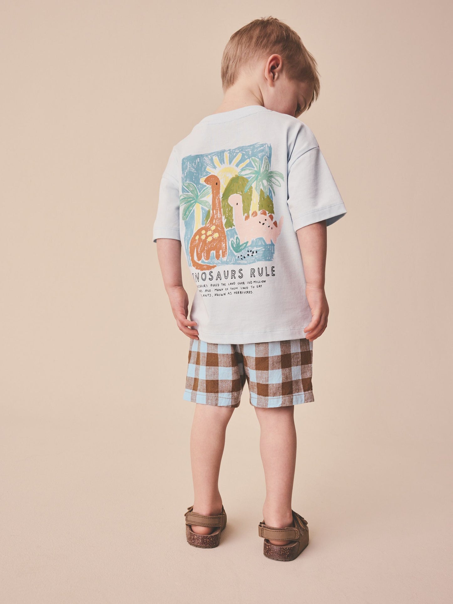 Blue/Brown Gingham Linen Blend Pull On Shorts (3mths-7yrs) image 3