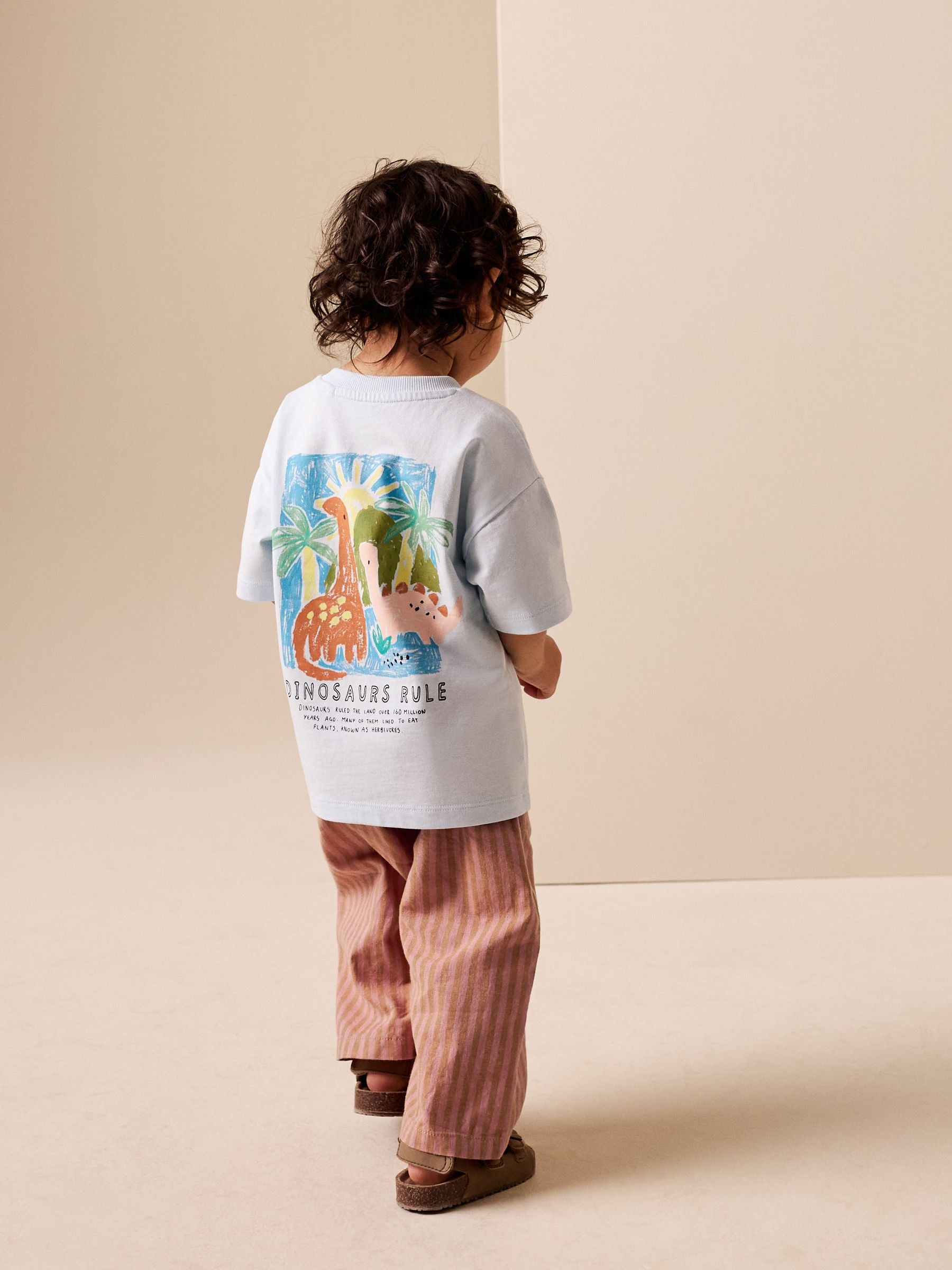 Red Stripe Wide Fit Linen Blend Pull on Trousers (3mths-7yrs) image 2