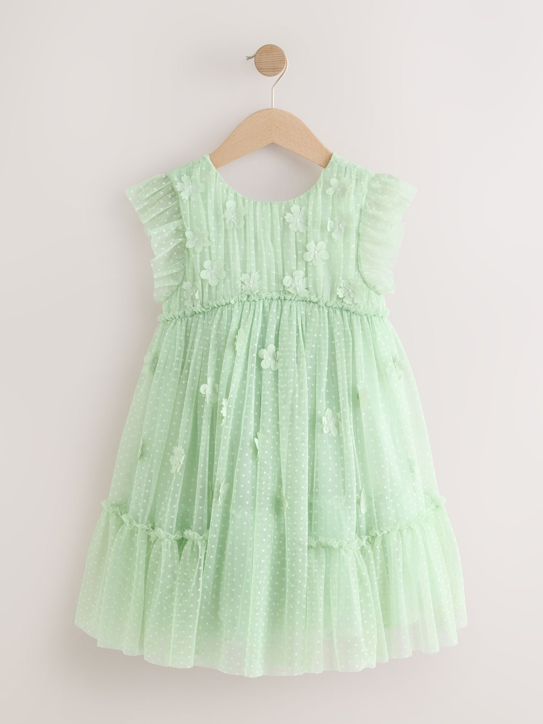 Mint Green Mesh Flower Girl Dress (3-16yrs) image 5
