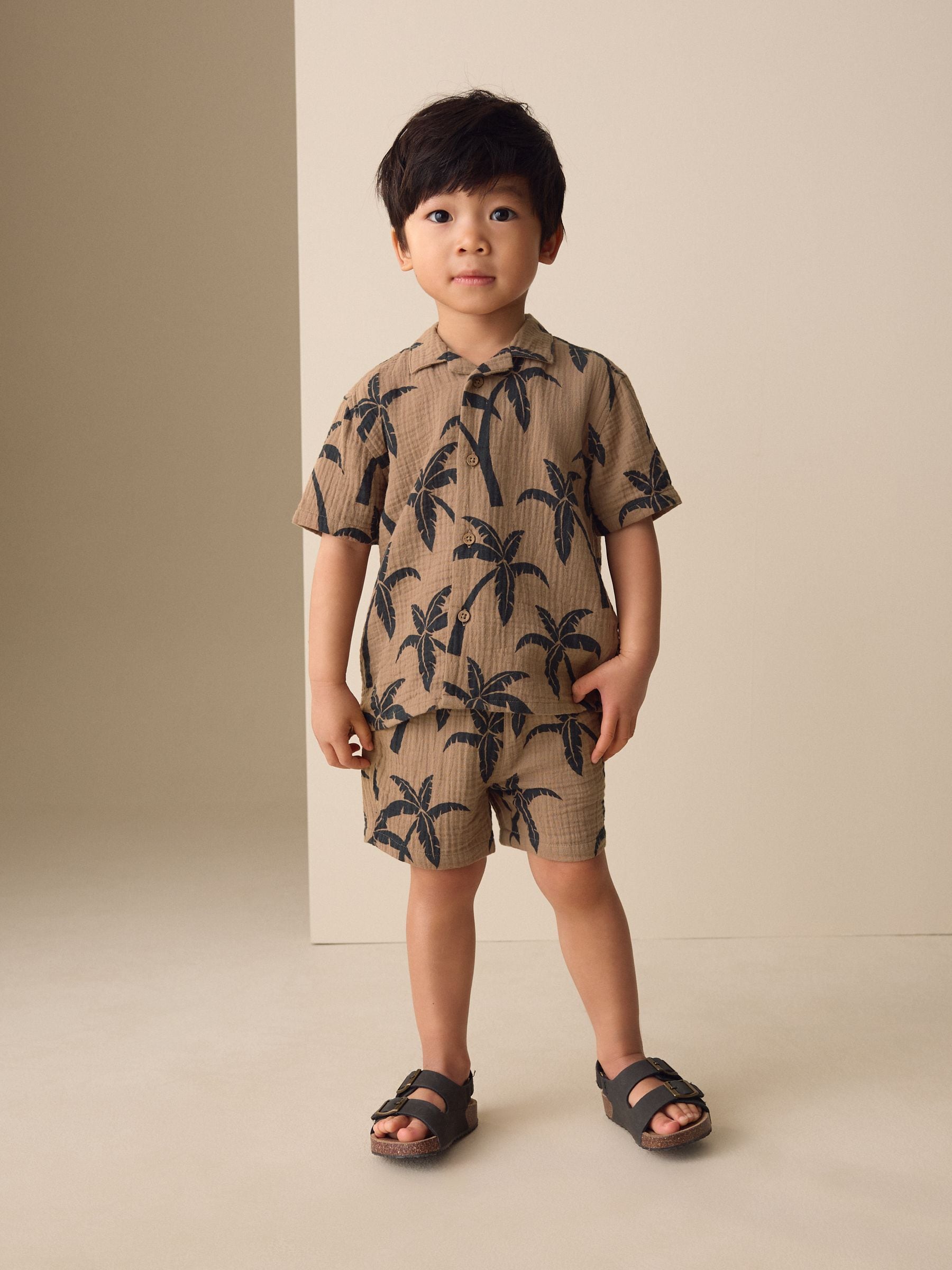 Brown All over Print Palm Short Sleeve Double Cloth Shirt & Shorts Set (3mths-10yrs) image 1
